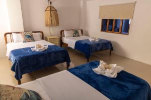 巴克里索莫雷诺港Galapagos Planet Hotel的一间设有两张蓝色和白色床单的房间