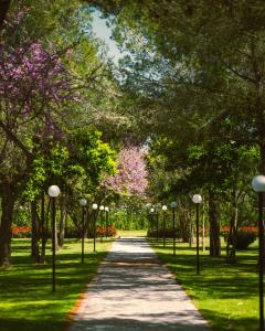 迪夫亚卡Green Park Divjakë的公园里树木和灯光的小路