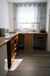 派内Dill Apartments Stederdorf的厨房配有柜台、水槽和窗户