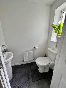 Mile EndNorth Colchester Homestay的白色的浴室设有卫生间和水槽。