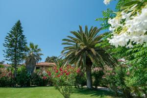 拉加纳斯Hara Studios的种有棕榈树和鲜花的花园