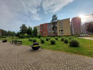 维萨吉纳斯Patogus poilsis prie ežero/Comfortable rest的长椅和植物公园