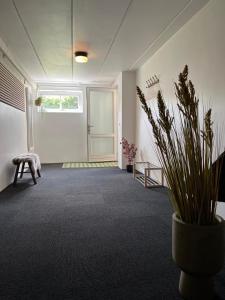 Tølløse120 kvm lejlighed med have i kælderniveau的走廊上的门,花瓶里种植植物