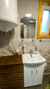 沃罗赫塔Котедж "Смерековий затишок"的浴室设有白色水槽和镜子