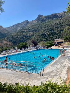 科尔特斯德拉夫龙特拉Casa Los Molineros的一群人在一座山地游泳池里