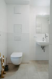 艾森斯塔特Schloss-Appartements的白色的浴室设有卫生间和水槽。