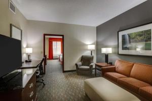 蒙哥马利蒙哥马利德鲁套房酒店的一间配备有沙发及电视的酒店客房