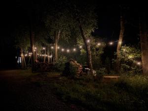 吉日茨科Tiny House - Osada Wilkasy的公园里一排夜晚的灯光