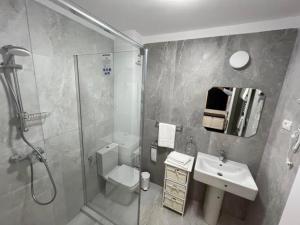 杜博瓦乡Pensiunea PHILIA的浴室配有卫生间、盥洗盆和淋浴。