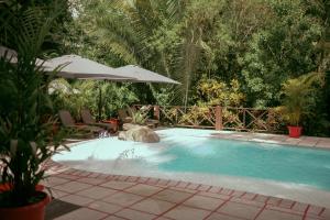 蒂卡尔蒂卡尔丛林小屋酒店的一个带遮阳伞和两把椅子及一张桌子的游泳池