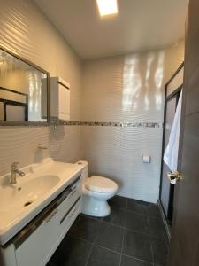马查拉Suites AlojaT MIMOS Machala diagonal al oro verde.的一间带水槽、卫生间和镜子的浴室