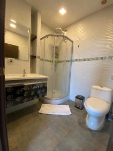 马查拉Suites AlojaT MIMOS Machala diagonal al oro verde.的带淋浴、卫生间和盥洗盆的浴室