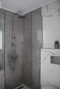 斯基亚索斯镇Fiosal Apartments 2的浴室里设有玻璃门淋浴