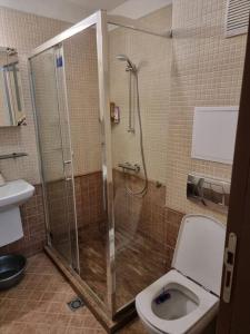 洛泽内茨Oazis resort lux vip apartament的带淋浴和卫生间的浴室