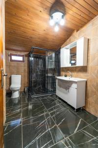 萨潘贾Sapancaminihouse的带淋浴、盥洗盆和卫生间的浴室