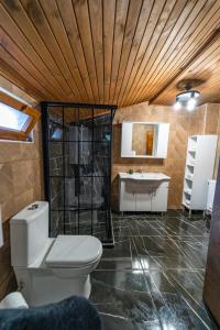 萨潘贾Sapancaminihouse的一间带卫生间和水槽的浴室