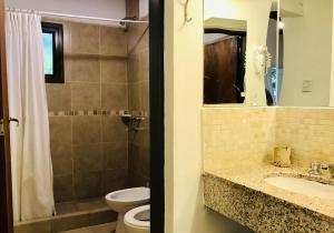 梅洛Cabañas El Francés的一间带卫生间、水槽和镜子的浴室