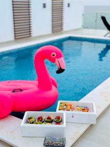 富查伊拉Seascape Villa的游泳池旁的粉红色天鹅玩具