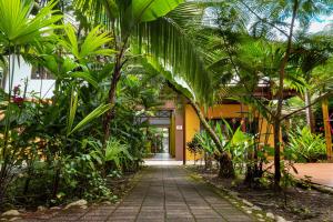 别霍港Pagalù Hostel的一条穿过棕榈树花园和一座建筑的小路
