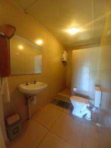 DouanePhilomena's Lodge的浴室配有白色卫生间和盥洗盆。