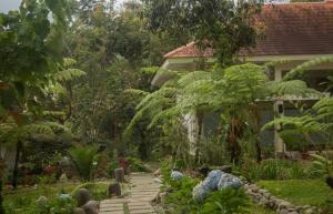 鲁滕Ara Garden Inn, Accommodation, Yoga studio & Spa的房屋前的花园
