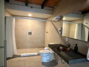 墨西哥城Casa Raffaello的浴室配有卫生间、盥洗盆和淋浴。