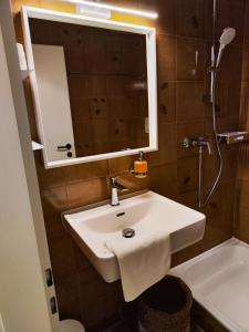 贝尔金Apartment 401的浴室配有盥洗盆、镜子和浴缸