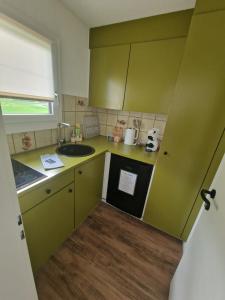 贝尔金Apartment 401的一个带绿色橱柜和水槽的小厨房