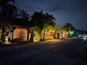 日惹阿斯图迪画廊民宿旅馆的一条空荡荡的街道,有灯的房屋
