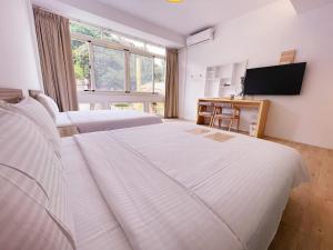 水里乡Travel Life 源旅生活民宿的酒店客房设有两张床和电视。