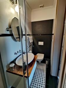 哈日科维贝尔维尤酒店的一间带水槽和卫生间的小浴室