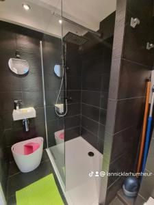 索宗LOC'MARIA的带淋浴、卫生间和盥洗盆的浴室