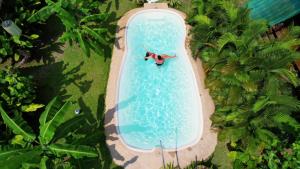 湄南海滩Samui Blue Bird的游泳池内人头顶的景色