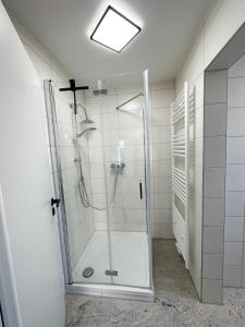 巴特恩豪森Moderne FeWo in HDZ&Klinik Nähe的带淋浴的浴室和玻璃门