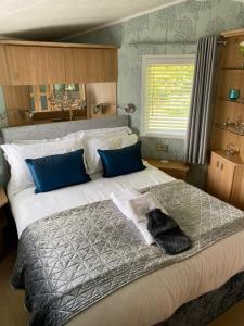 SwarlandCosy & Modern Cabin In Heart of Northumberland的一间卧室配有一张大床,猫坐在床上