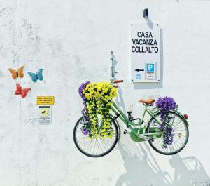 CerratinaCasa Vacanza Collalto的挂在墙上的花的自行车