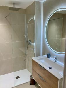 安锡Le 21 Favre, Hyper centre, 70 m², 2 chambres的浴室配有盥洗盆和带镜子的淋浴