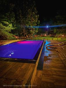 达瓦拉维天堂鸟公寓的游泳池,晚上带蓝色泳池