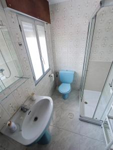 桑亨霍La Cruz del Sur的一间带水槽、淋浴和卫生间的浴室