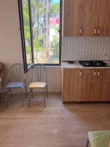 谢赫维蒂利Villa Premium Shekvetili的厨房配有两把椅子、一个炉灶和一个窗户。