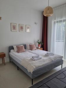 格丁尼亚Baltivia Haus的一间卧室配有一张大床和枕头