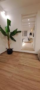费拉Amerisa Suites & Villa的客厅,地板上放着盆栽植物