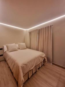 阿尔曼萨Acacias 841 A的一间卧室设有一张大床和窗户