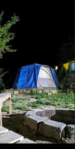GulmitBaseet Camping and Restaurant的夜晚在田野里的一个蓝白色帐篷
