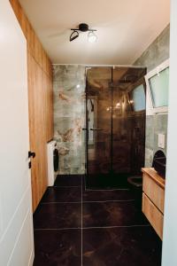 DragomirnaFamous Chalet Dragomirna的带淋浴的浴室和玻璃门