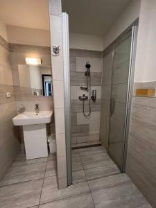 布拉格斯帕乐那公寓式酒店的带淋浴和盥洗盆的浴室