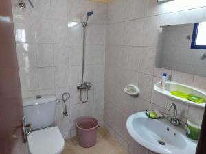 沙迦Prem Home Stay的一间带卫生间和水槽的浴室