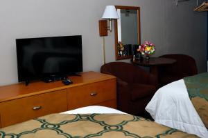 弗兰特罗亚尔Twi-Lite Inn的一间房间,配有带床铺的梳妆台上配有电视
