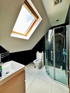 希灵登Blue rain的浴室配有卫生间、水槽和天窗。