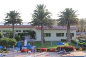 乌姆盖万Flamingo Beach Hotel的一群棕榈树在一座建筑前